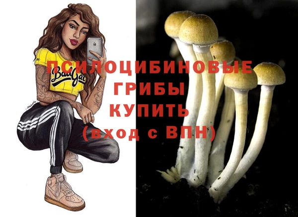 дурь Елабуга