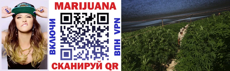 Конопля SATIVA & INDICA  Купить  Исилькуль 